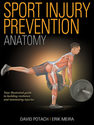 cover image of Sport Injury Prevention Anatomy